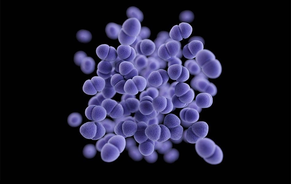 Antibiotik Baru Pertama Kali Ditemukan Dalam 60 Tahun Berkat AI