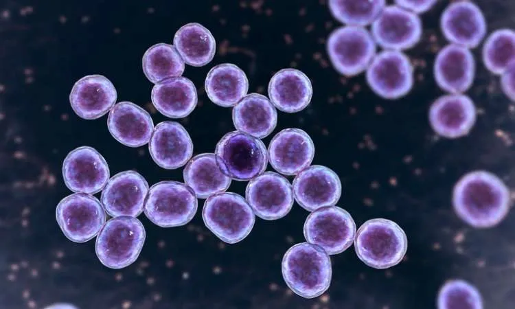 Antibiotik Baru Pertama Kali Ditemukan Dalam 60 Tahun Berkat AI